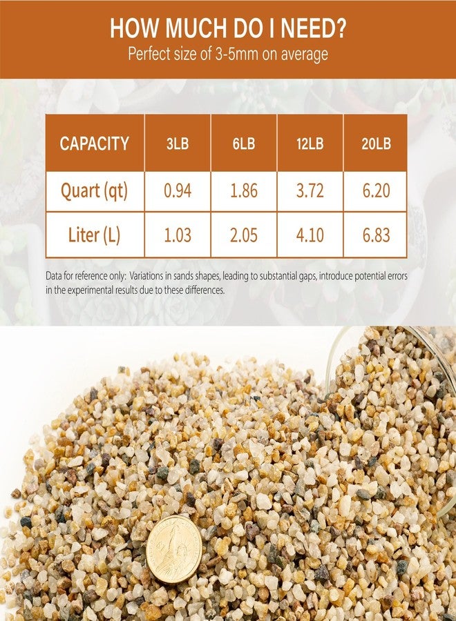 NUPICK 3-5mm Coarse Sand for Plants, 6lb Horticultural Grit for Succulents, Desert Silica Sand for Cactus, Decorative Gravel for Landscaping, Gold Grit for Aquariums, Bonsai, Vases Fillers - Image 3